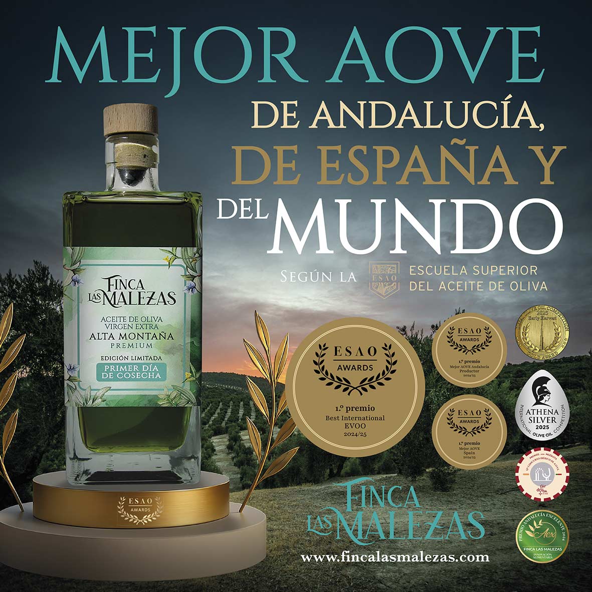 CARTEL-MEJOR-AOVE-CUADRADO